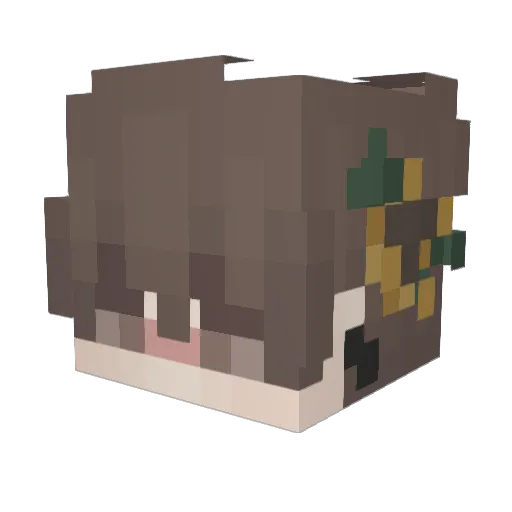 McSplody Minecraft avatar head, 3D render