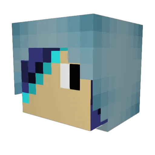 McSquidBoy Minecraft avatar head, 3D render