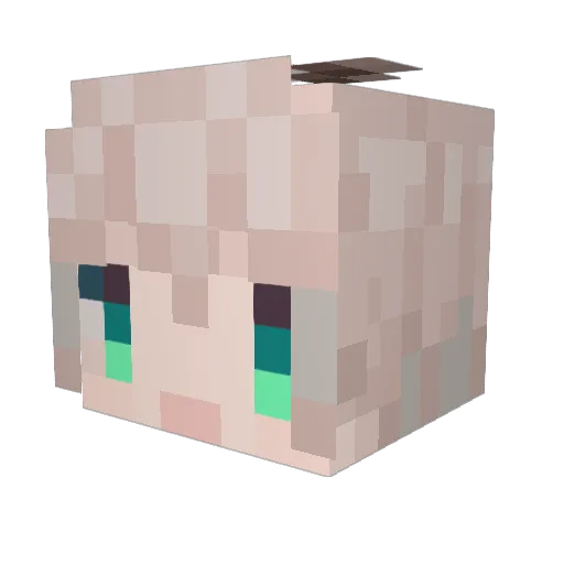 McSwiggles Minecraft avatar head, 3D render