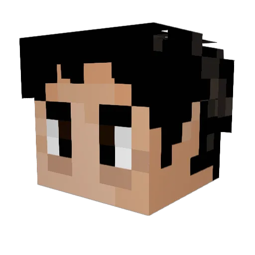 McT421 Minecraft avatar head, 3D render