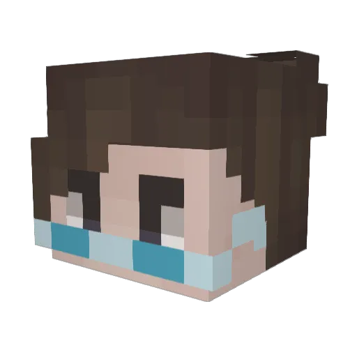 McToast_ Minecraft avatar head, 3D render