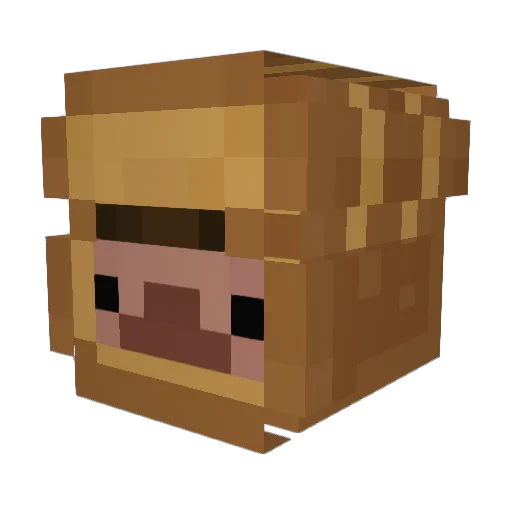 McVexx Minecraft avatar head, 3D render
