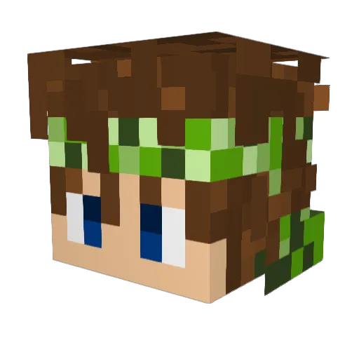 Mc_BigBrother Minecraft avatar head, 3D render
