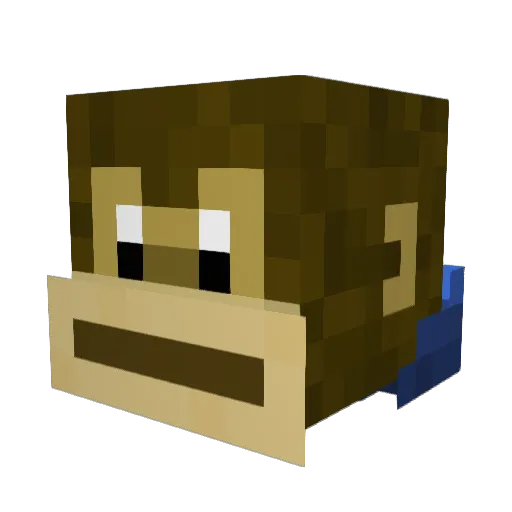Mc_Monkey49 Minecraft avatar head, 3D render