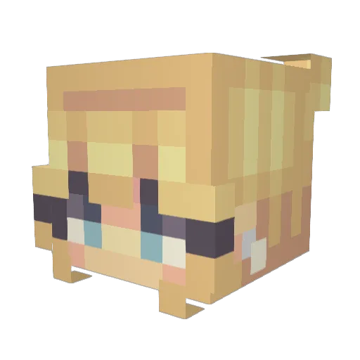 Mc_Nastar Minecraft avatar head, 3D render