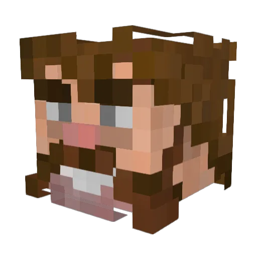 Mcala Minecraft avatar head, 3D render
