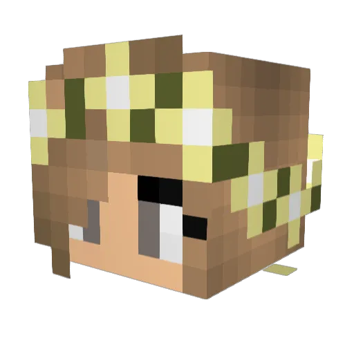Mcandy808 Minecraft avatar head, 3D render