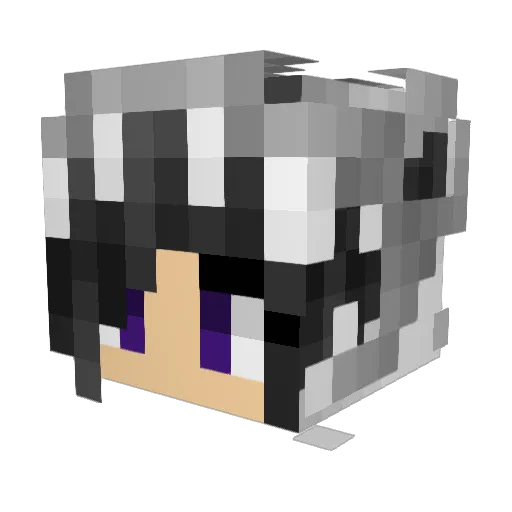 Mcchelly Minecraft avatar head, 3D render