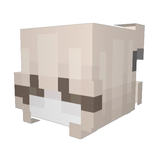 Mccnie Minecraft avatar head, 3D render