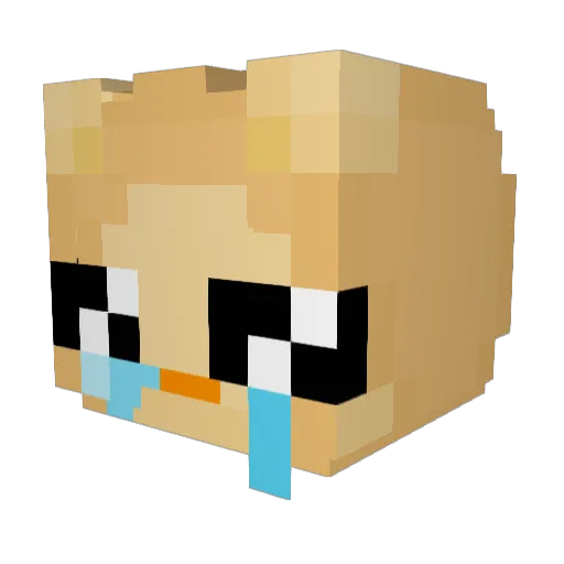 Mcdarth07 Minecraft avatar head, 3D render