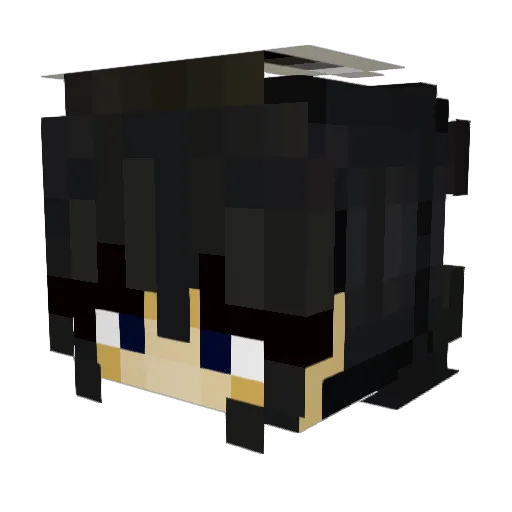 Mcdoooge Minecraft avatar head, 3D render