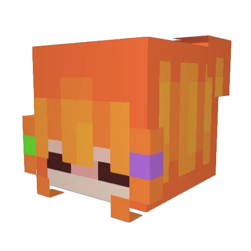 Mcflyy209 Minecraft avatar head, 3D render
