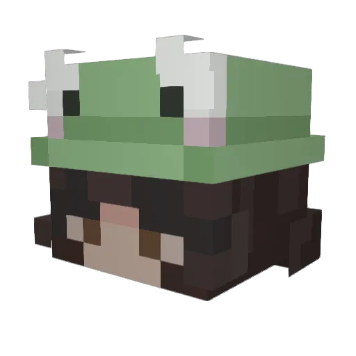 Mcjumps Minecraft avatar head, 3D render