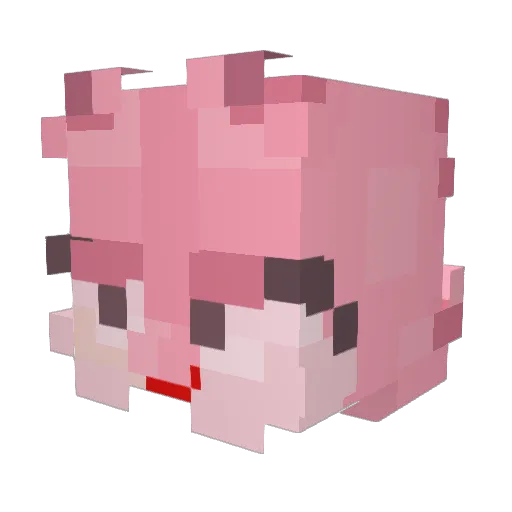 Mckennass22 Minecraft avatar head, 3D render
