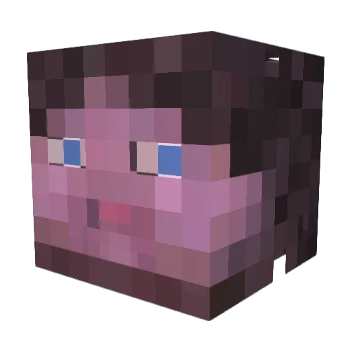 Mclovin_99 Minecraft avatar head, 3D render