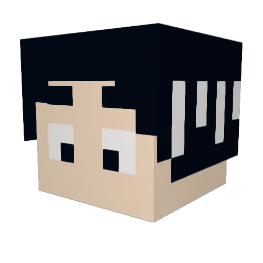 Mcman597 Minecraft avatar head, 3D render