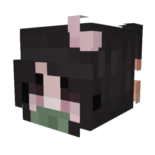 Mcnugget2k2 Minecraft avatar head, 3D render