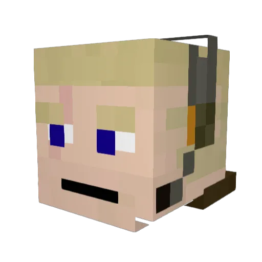 Mcnuggeti Minecraft avatar head, 3D render