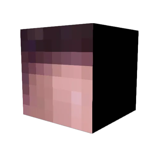 McparksIsSus Minecraft avatar head, 3D render