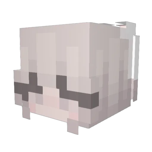 Mcqwax Minecraft avatar head, 3D render