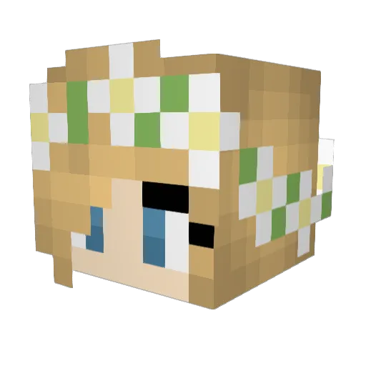 Mcupcake2142 Minecraft avatar head, 3D render