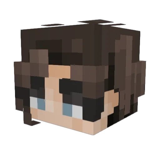 Mdog303 Minecraft avatar head, 3D render