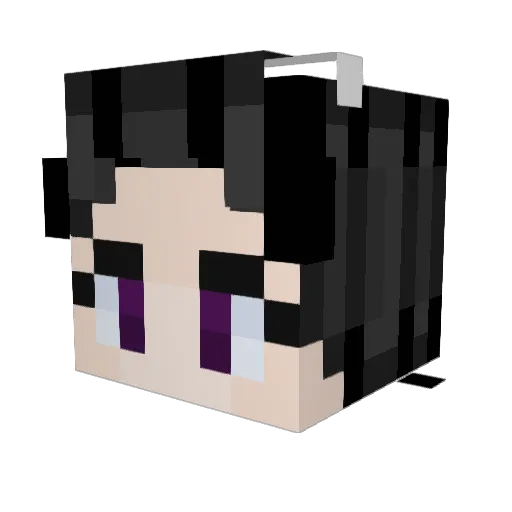 Me1sho Minecraft avatar head, 3D render