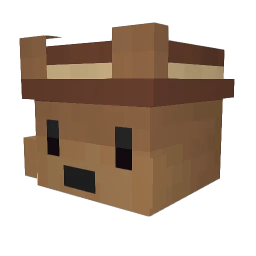 MeDBreaD_ Minecraft avatar head, 3D render