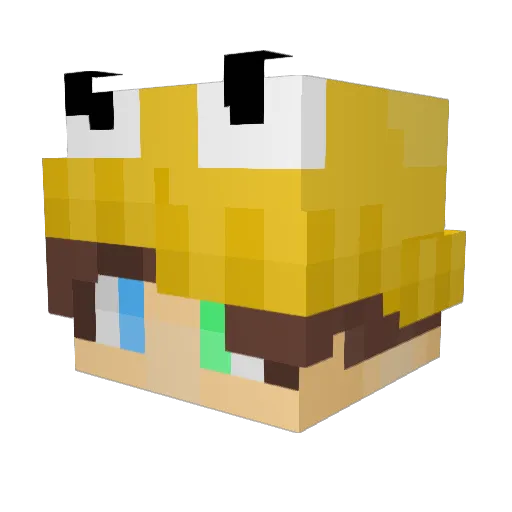 MeEveryD4y Minecraft avatar head, 3D render