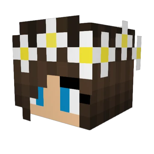 MeGwArd22 Minecraft avatar head, 3D render