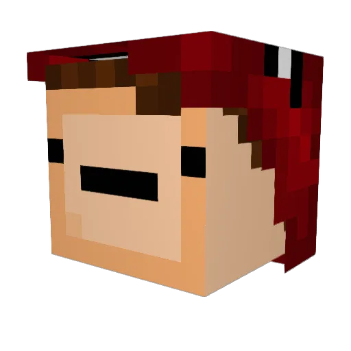 MeLlamoGroot Minecraft avatar head, 3D render
