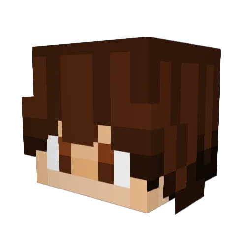 MeMeCORP7123 Minecraft avatar head, 3D render