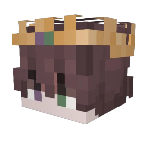 MeMebigboi42 Minecraft avatar head, 3D render