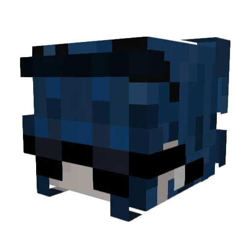 MeMyselfAndEMORY Minecraft avatar head, 3D render