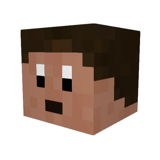 MeMyselfAndPii Minecraft avatar head, 3D render