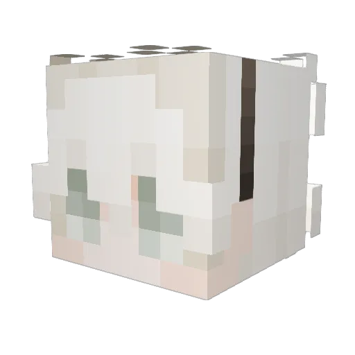 MeNamesNotJAM Minecraft avatar head, 3D render