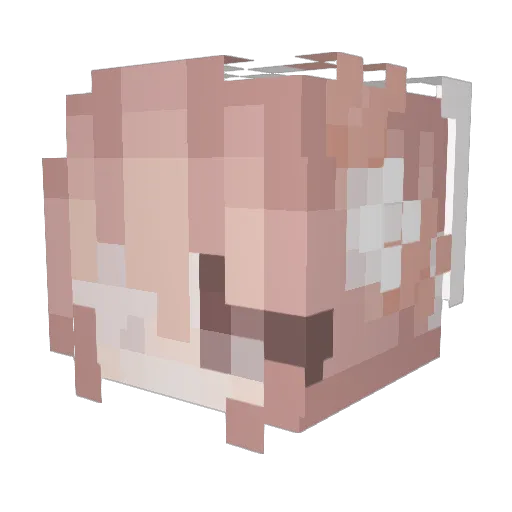MeNiga Minecraft avatar head, 3D render