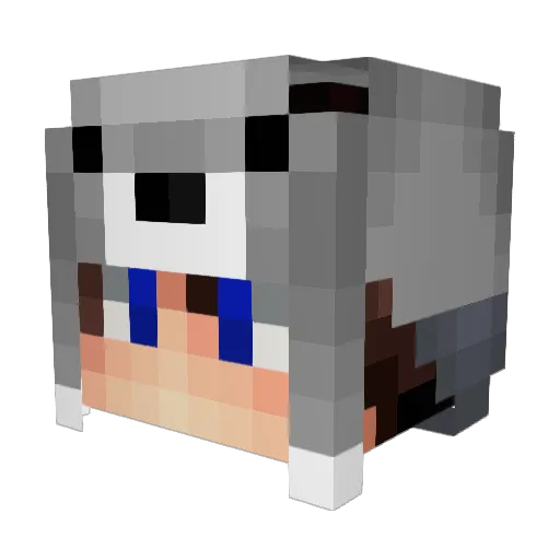MeNoNiceYo Minecraft avatar head, 3D render
