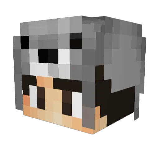MeTeax Minecraft avatar head, 3D render