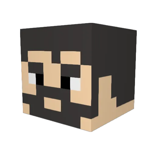MeTro333 Minecraft avatar head, 3D render
