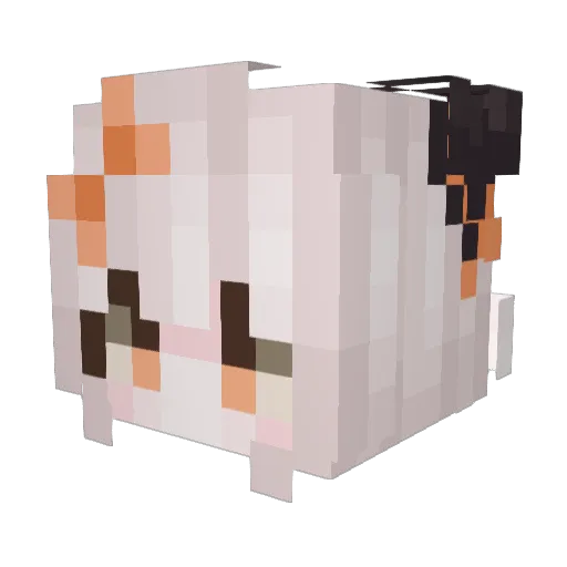 MeWoJi Minecraft avatar head, 3D render