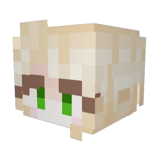 Me_Rang Minecraft avatar head, 3D render