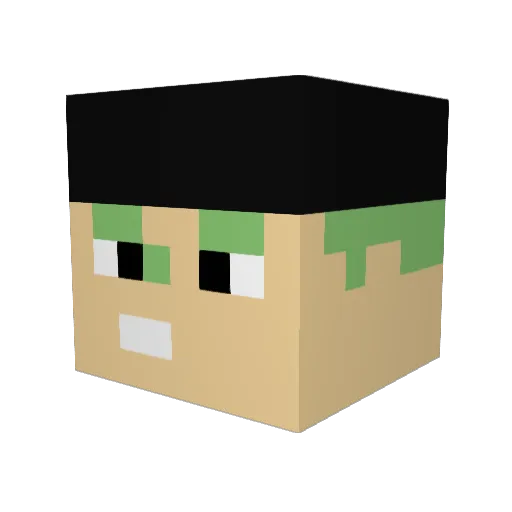 Me_Shok Minecraft avatar head, 3D render