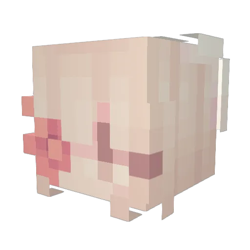 Me_mew Minecraft avatar head, 3D render
