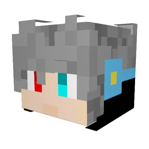 MeaNeR1ce Minecraft avatar head, 3D render