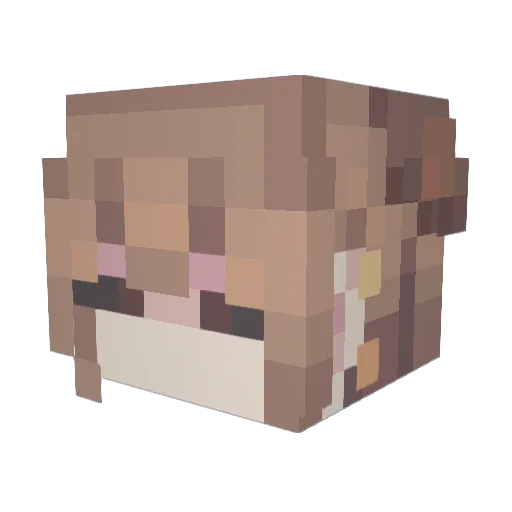 Meada_ Minecraft avatar head, 3D render