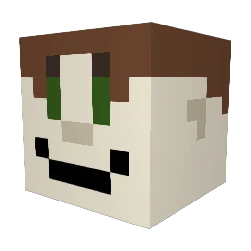MeagerClown Minecraft avatar head, 3D render