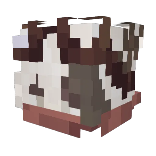 MeaghanB Minecraft avatar head, 3D render