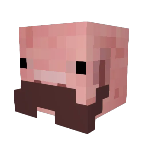 Meaku99 Minecraft avatar head, 3D render