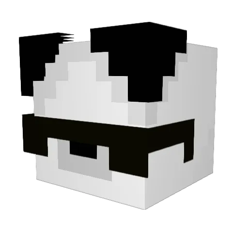 Meam40 Minecraft avatar head, 3D render